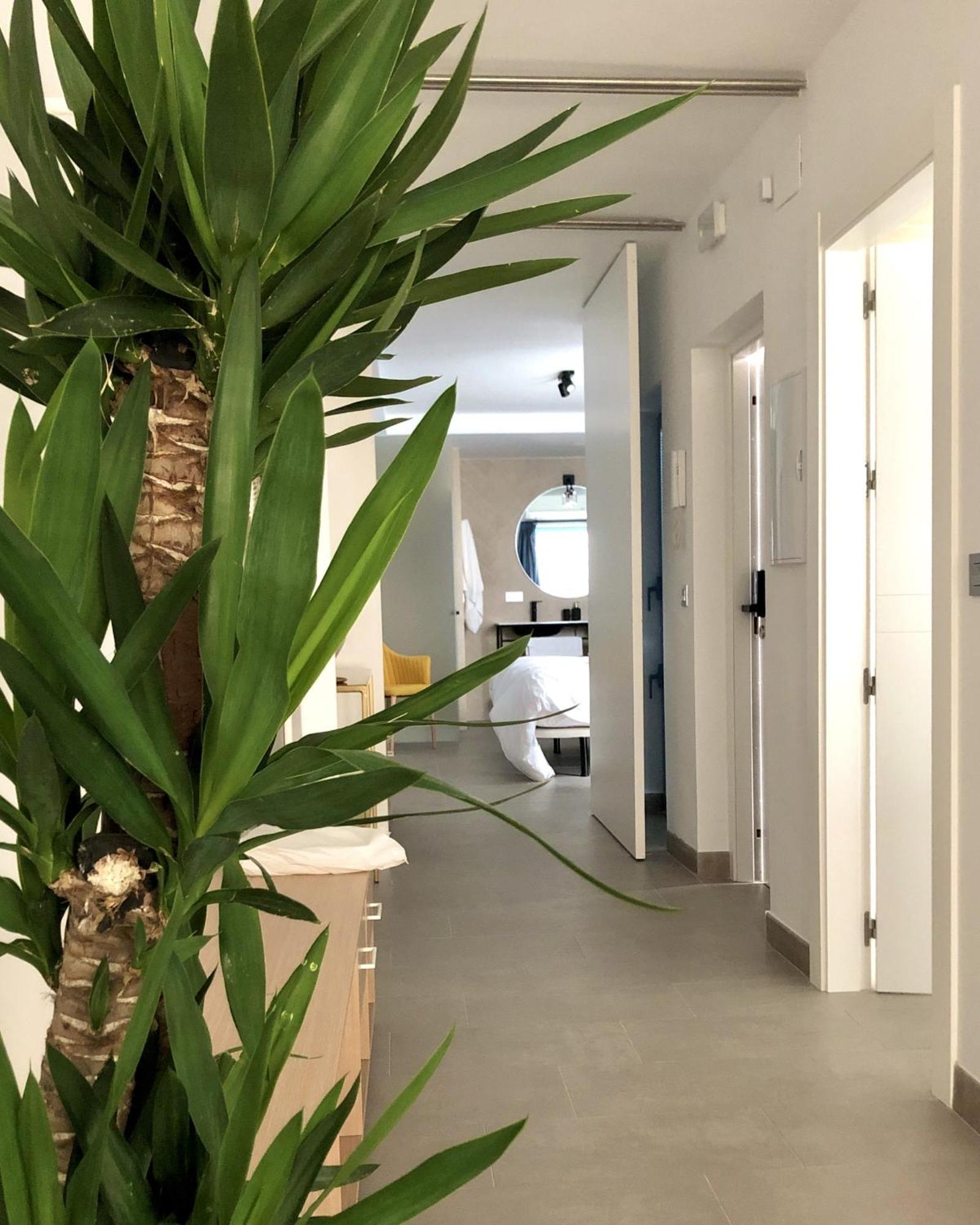 Patiodeluz - Stylish In Parraga 13 Apartment